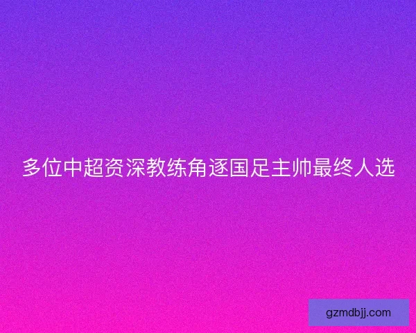 多位中超资深教练角逐国足主帅最终人选