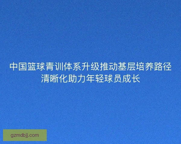 中国篮球青训体系升级推动基层培养路径清晰化助力年轻球员成长