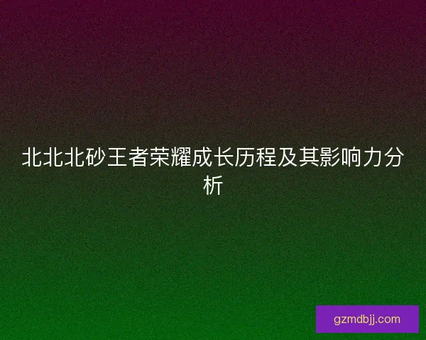 北北北砂王者荣耀成长历程及其影响力分析